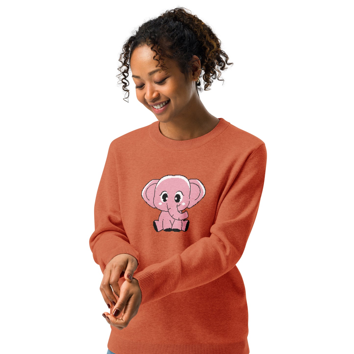 Elephant Sweater