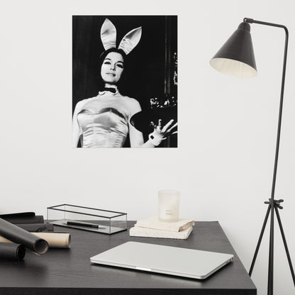 A Bunny's Tale Poster