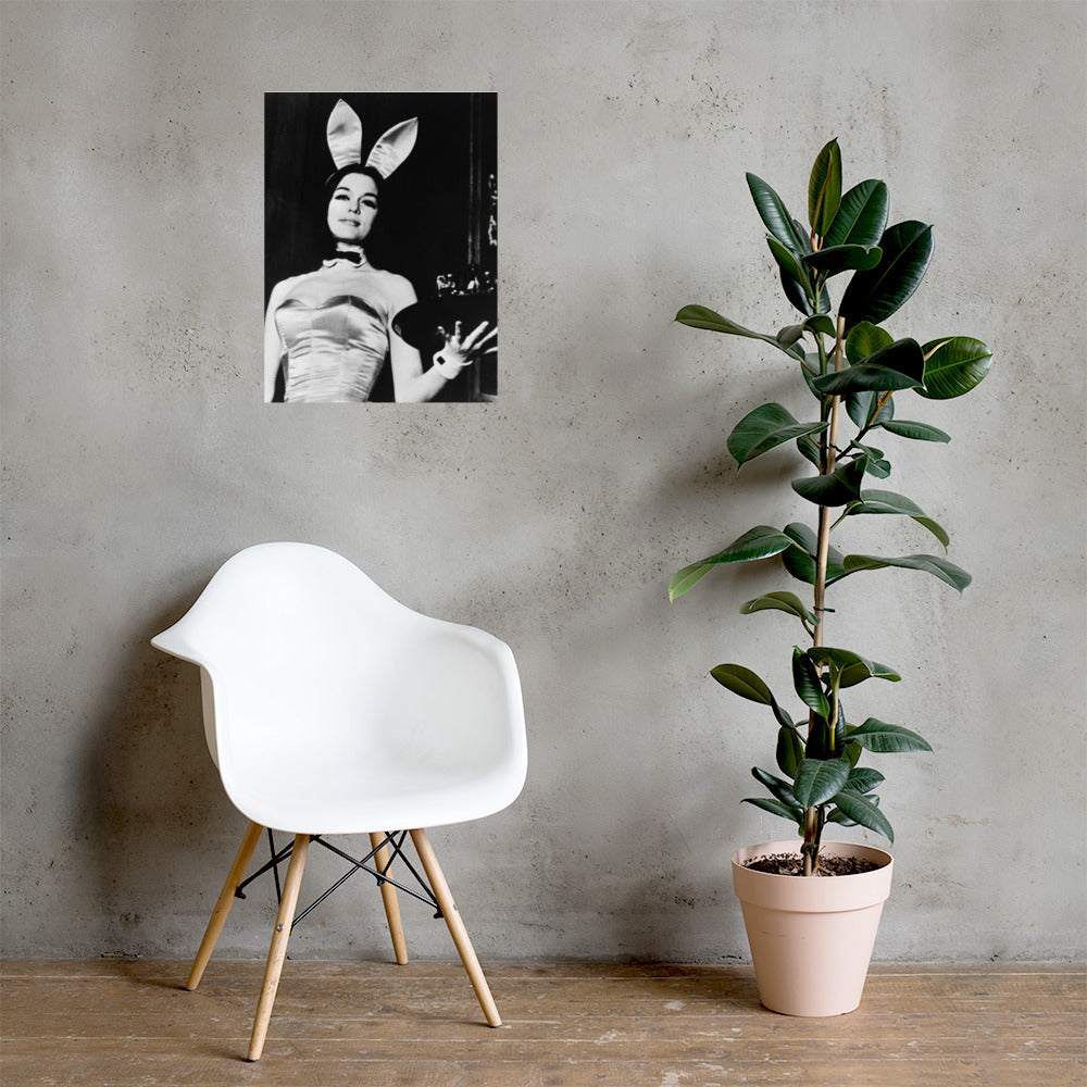 A Bunny's Tale Poster