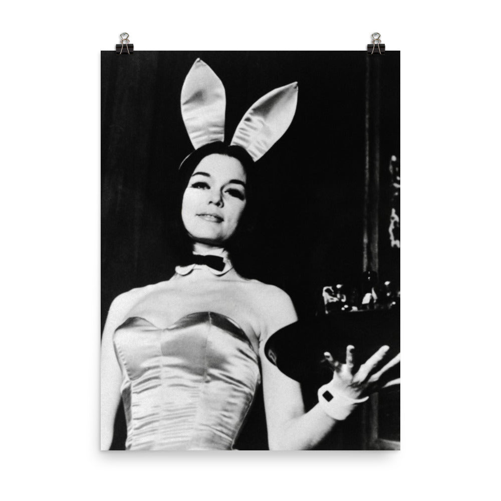 A Bunny's Tale Poster